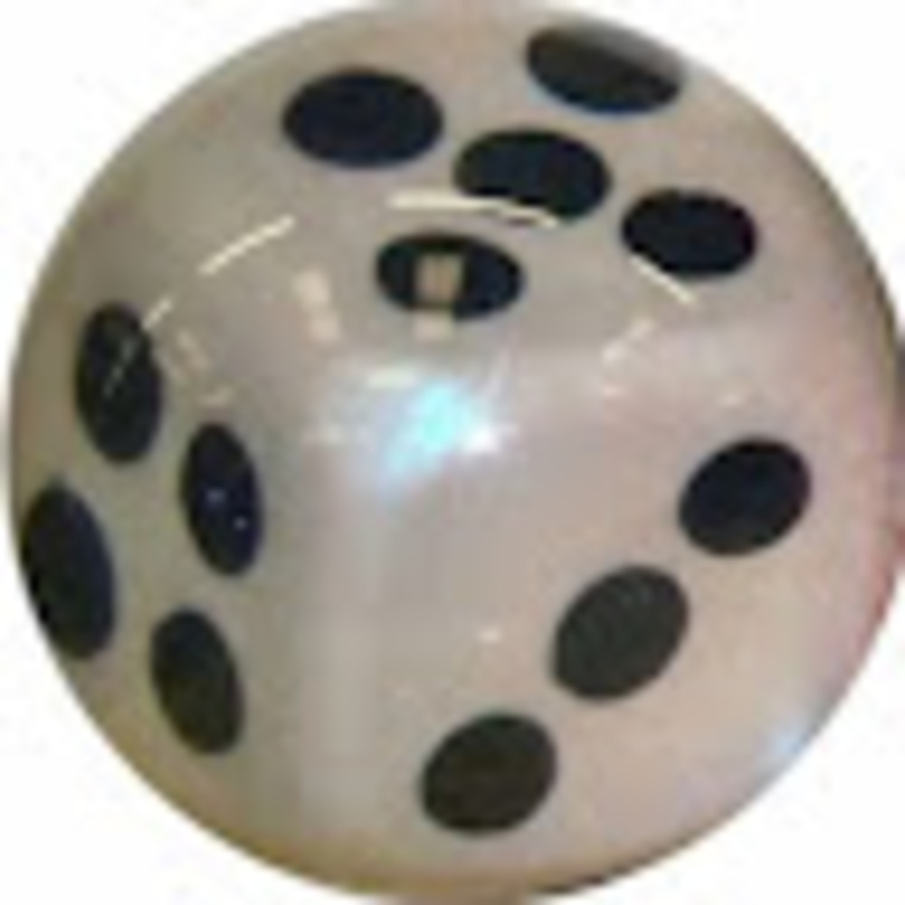 Meet your Posher, Sasha